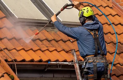 Démoussage et hydrofuge de toiture à Fréteval